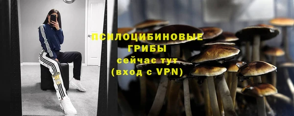 герыч Арсеньев