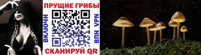 как найти закладки  Ряжск  Псилоцибиновые грибы ЛСД 